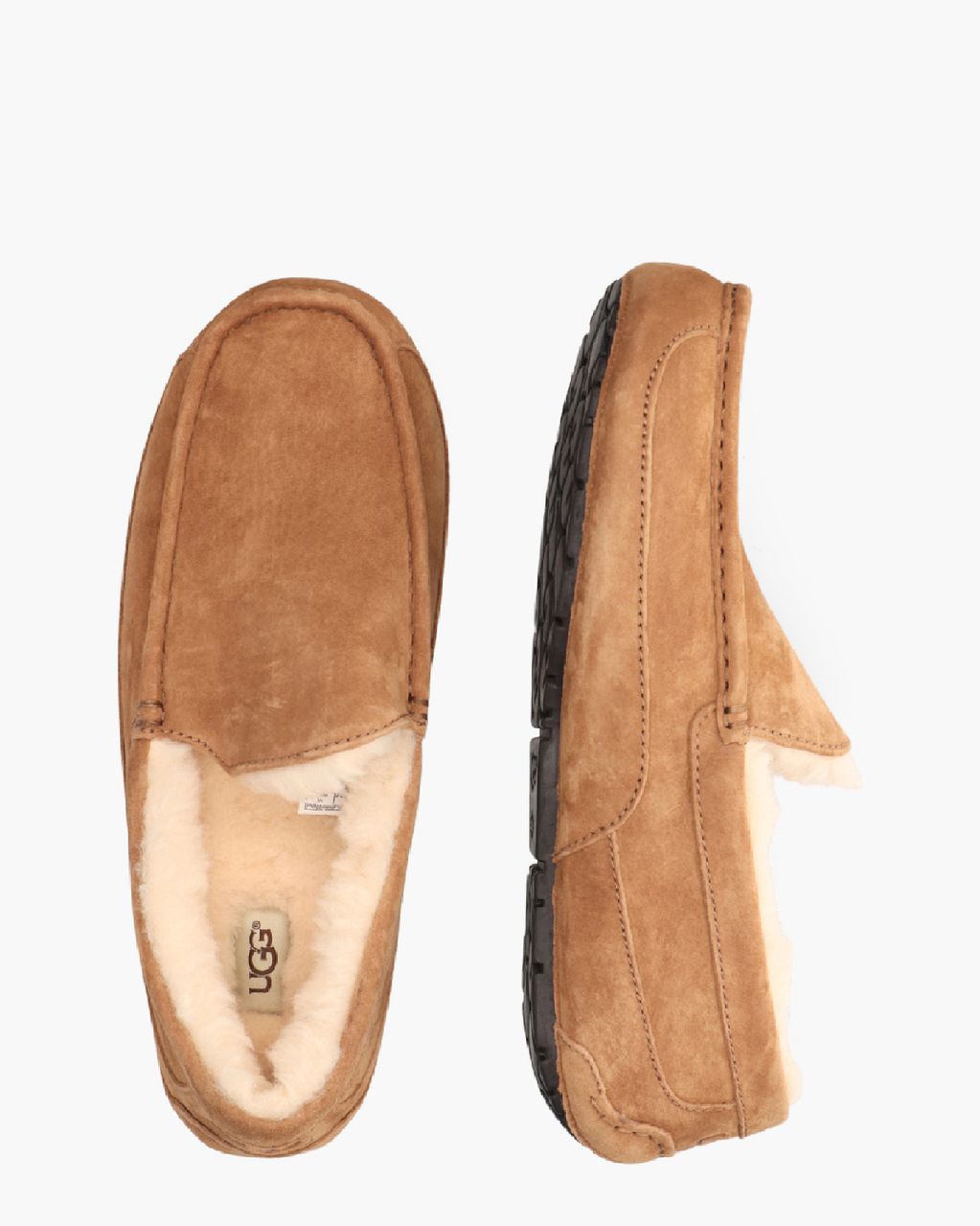 UGG Ascot モカシン 27cm Chestnut UGG Ascot Slipper Chestnut Herenpantoffels - Van Arendonk.nl