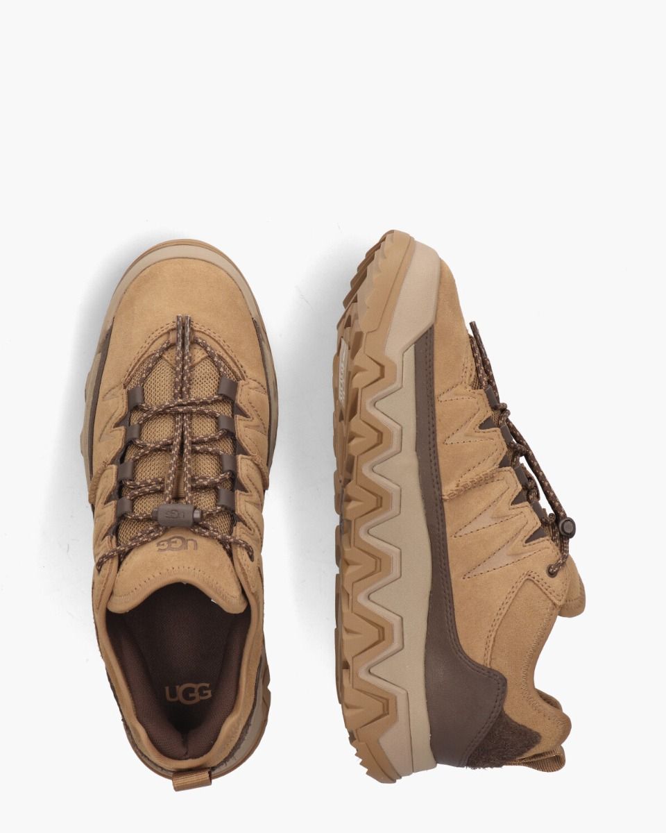 UGG Captrail Low Sneaker Chestnut Herensneakers - Van Arendonk.nl