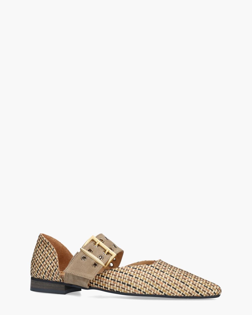Waiel Beige/Multi Damesballerina's 