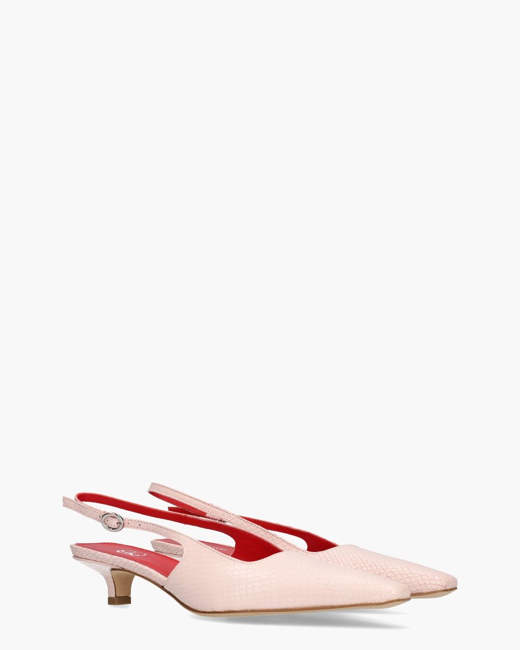 Anna Lichtroze Dames Slingbackpumps