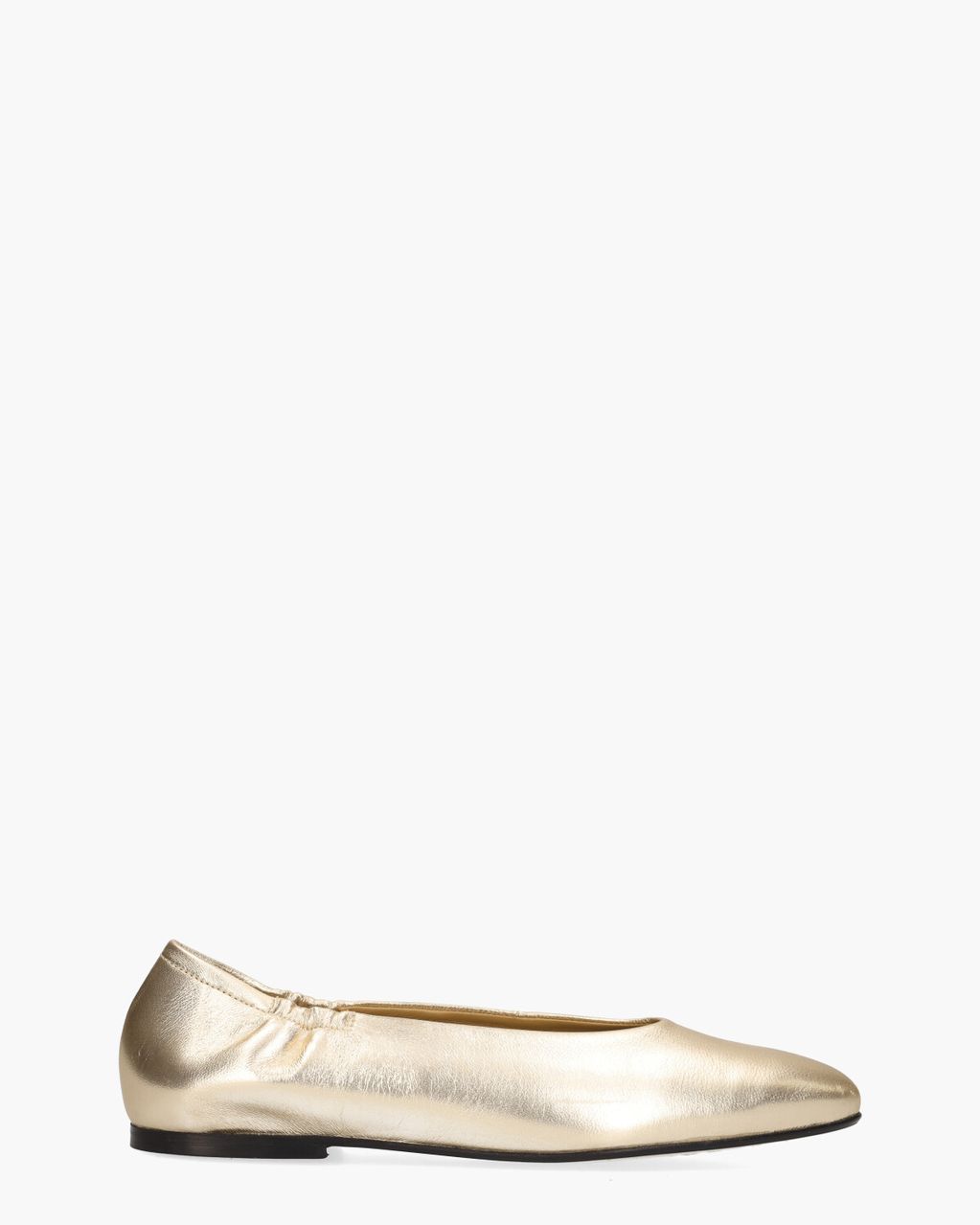 Weslynn Goud Damesballerina's