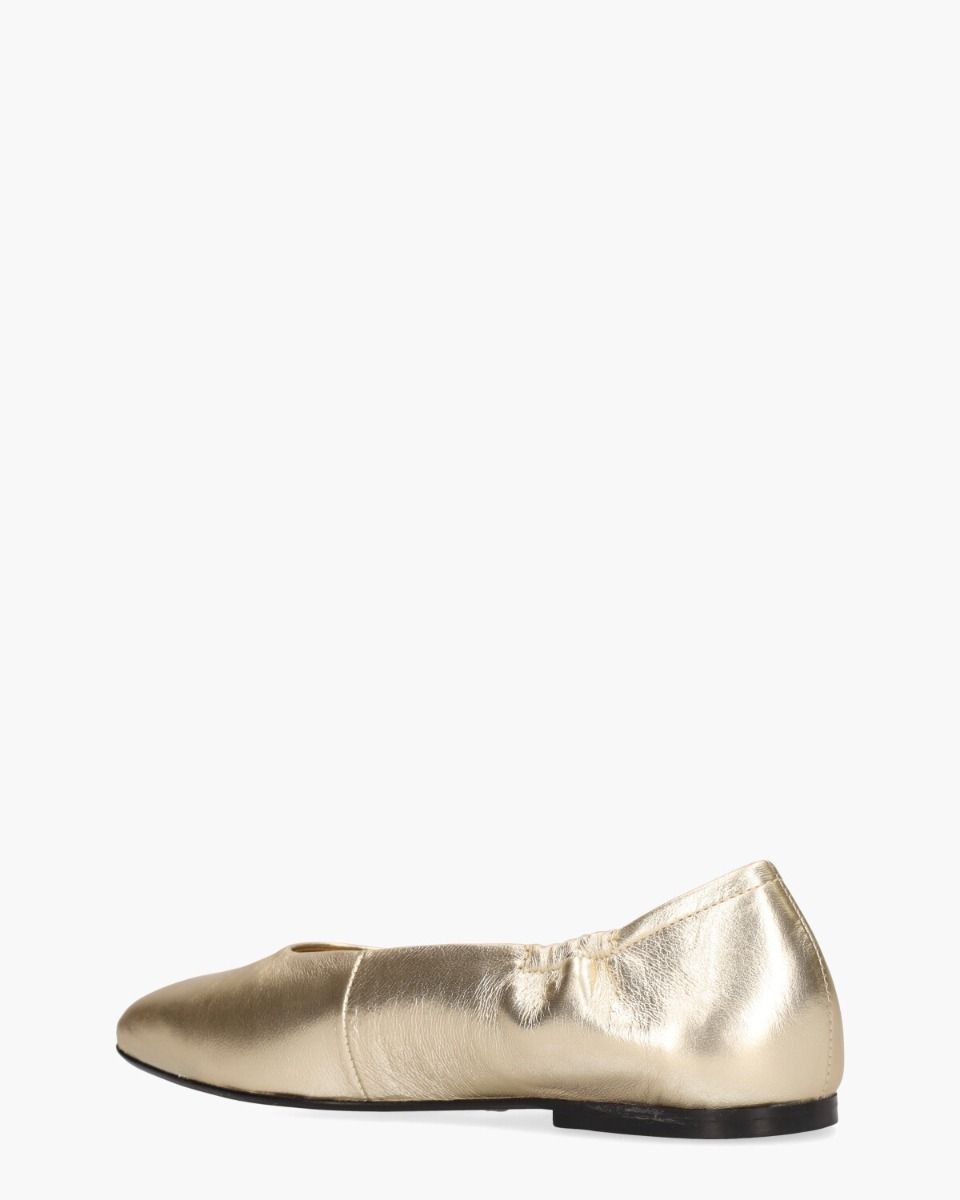 Weslynn Goud Damesballerina's