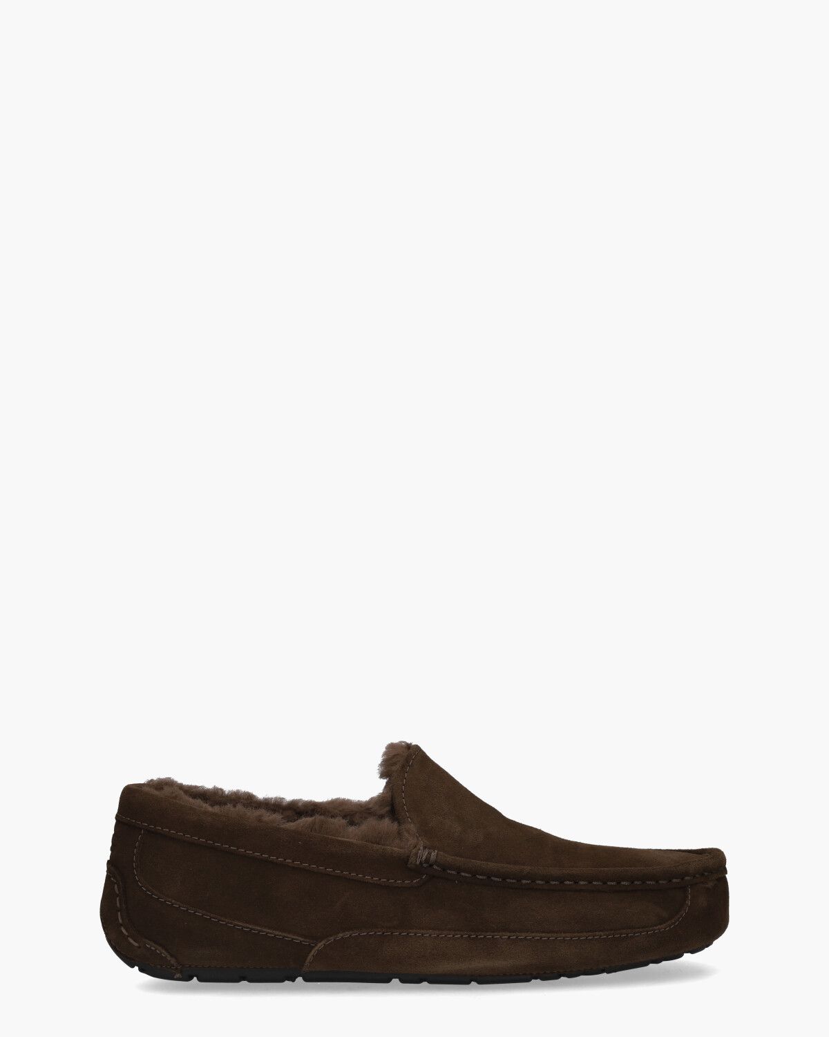 Ugg Ascot  Espresso s