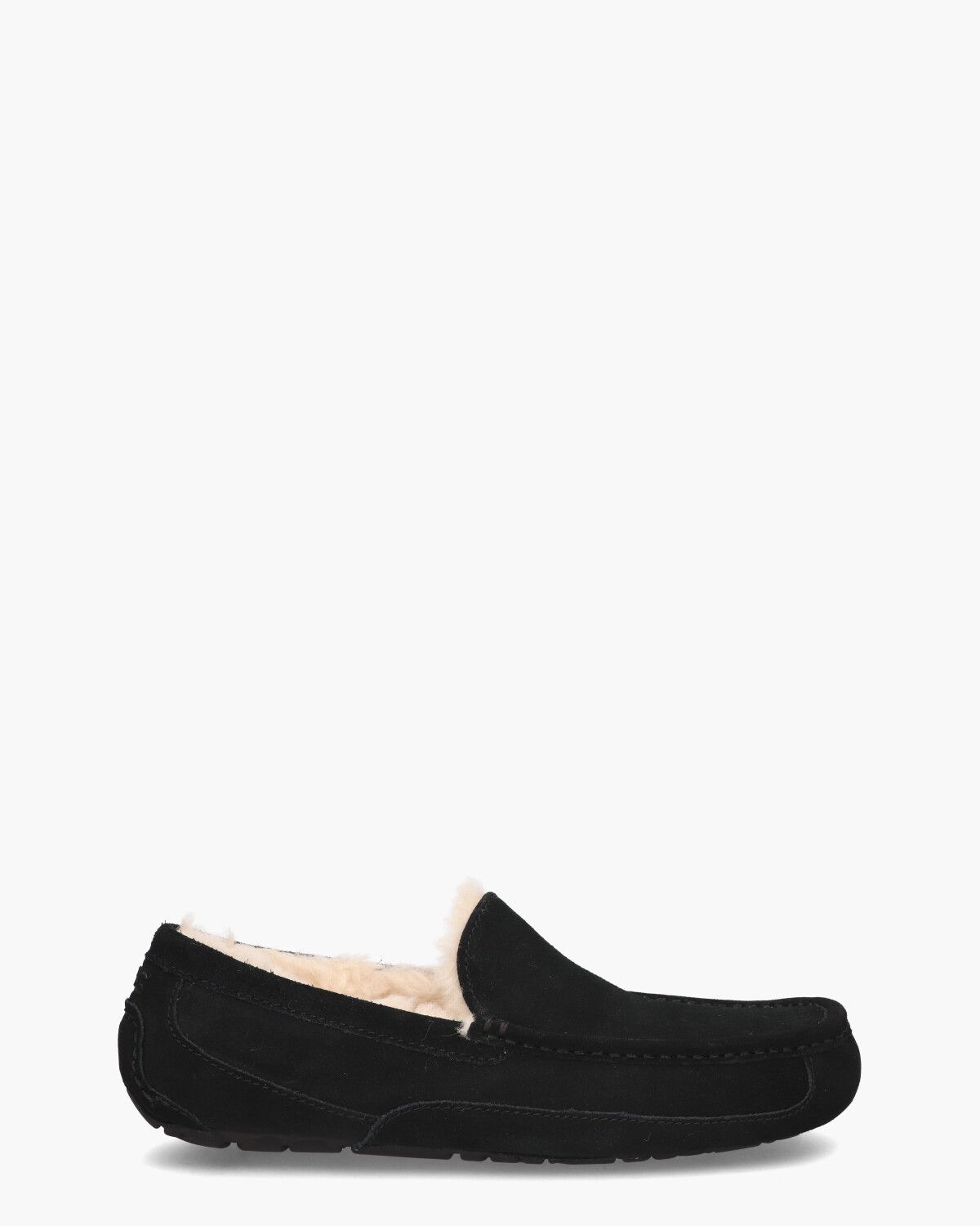 Ugg Ascot  Black s