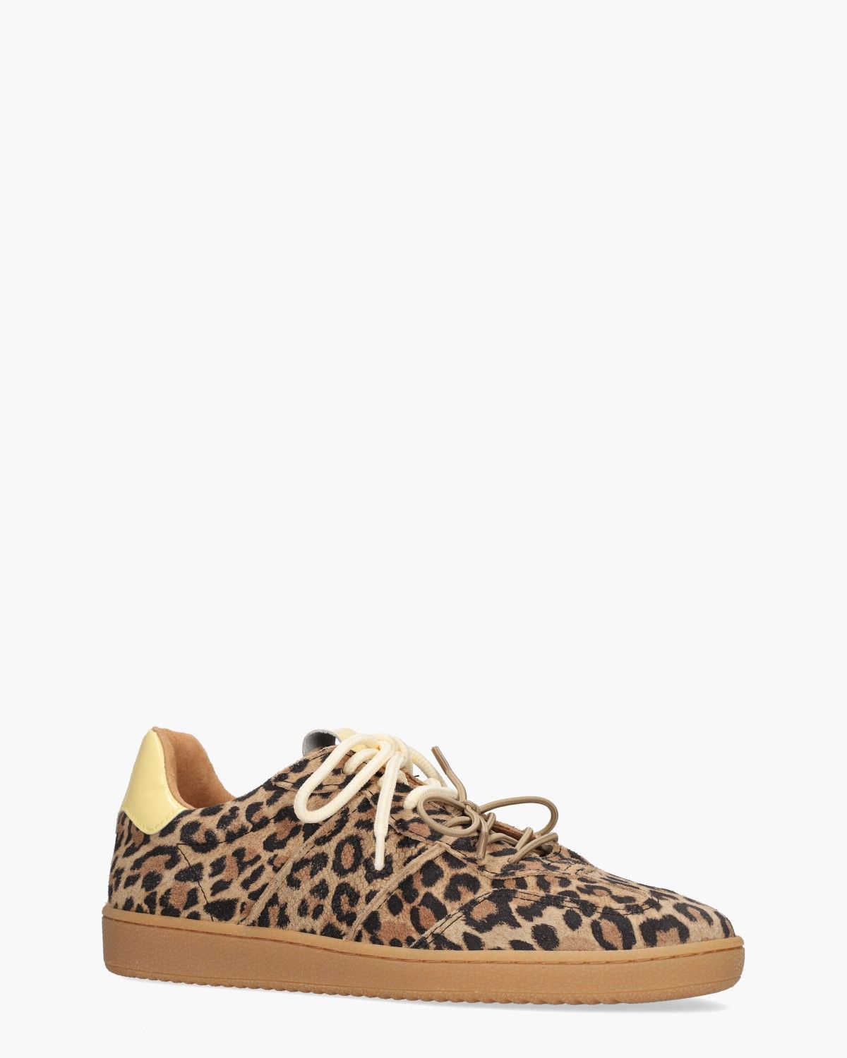 DWRS Poona Leopard Multicolor