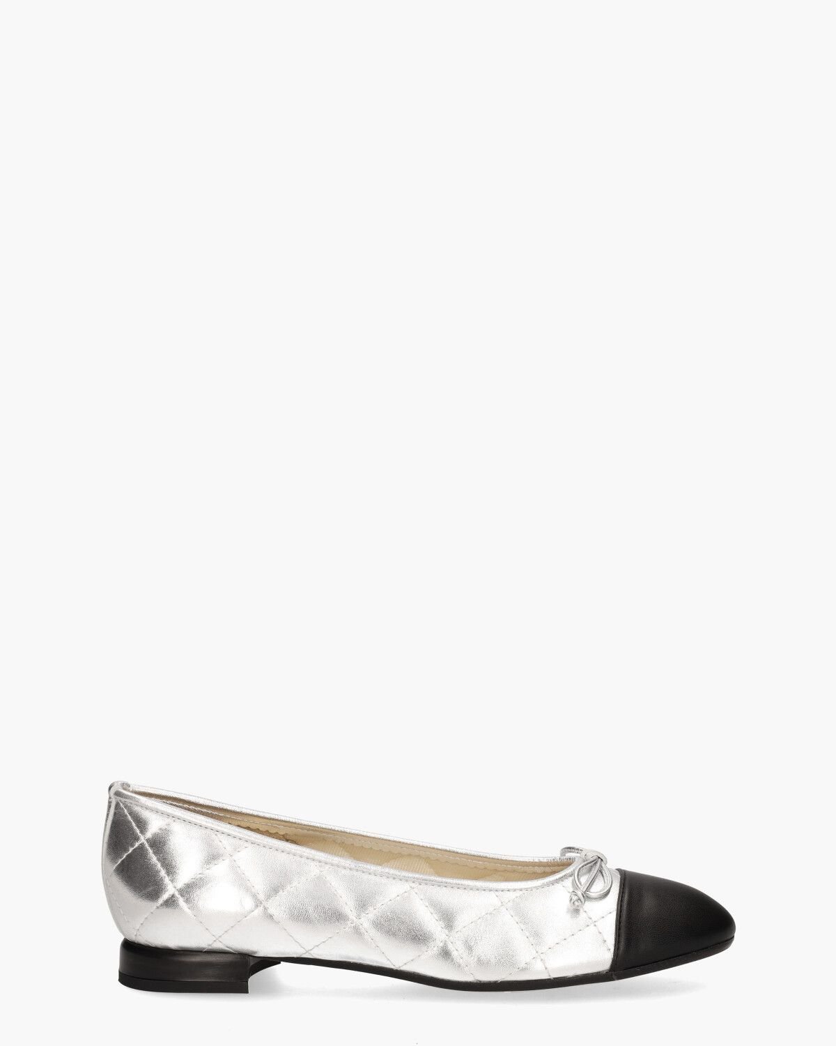 10405 Zilver/Zwart