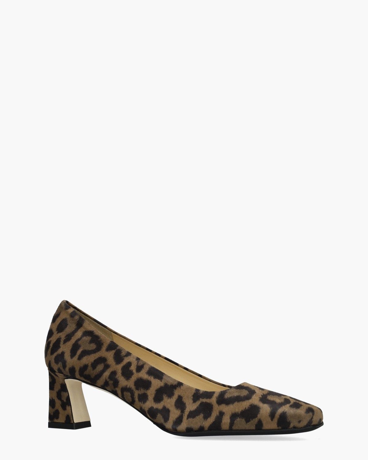 Brunate 51376 Bruin