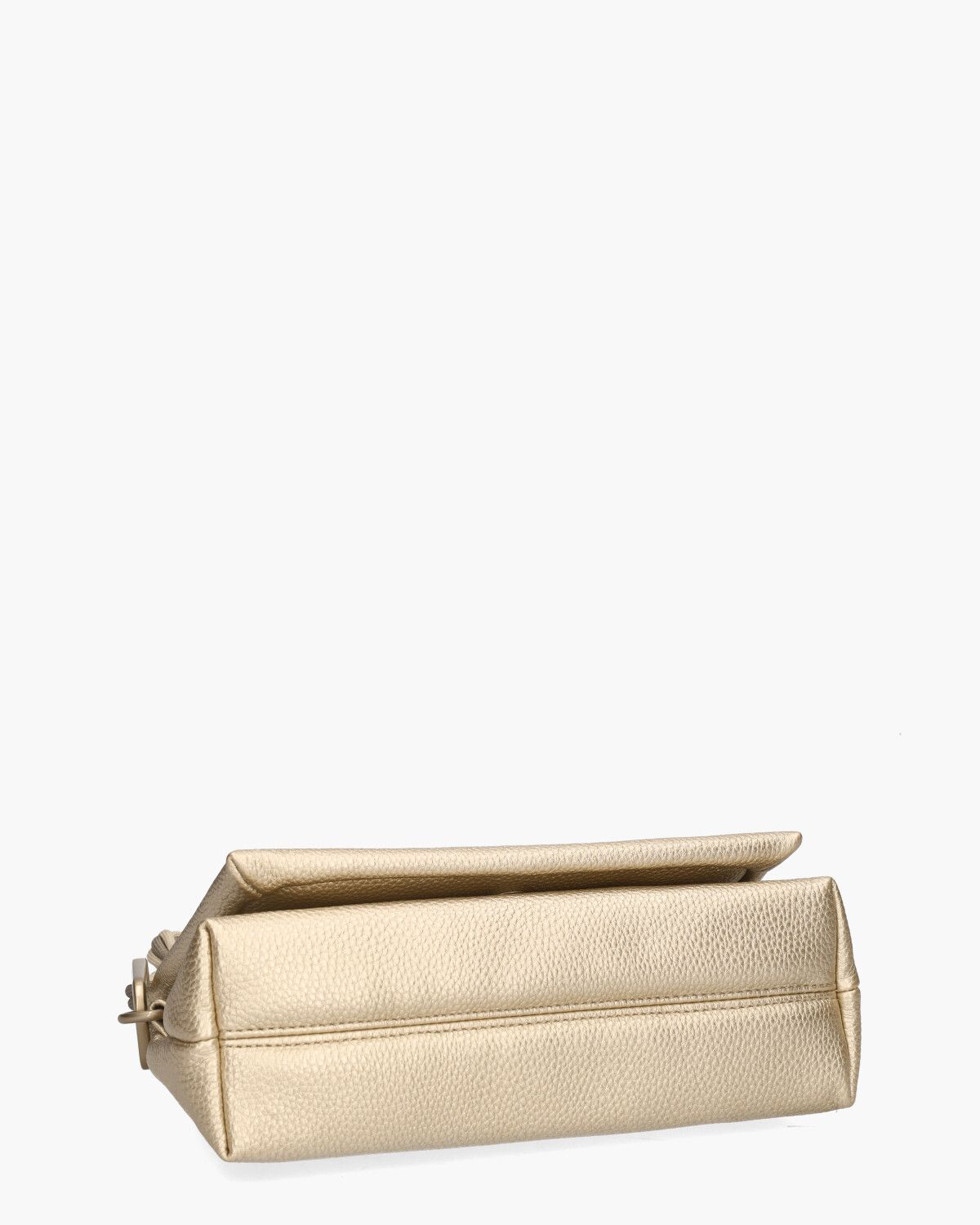 BV253846 Goud Tas