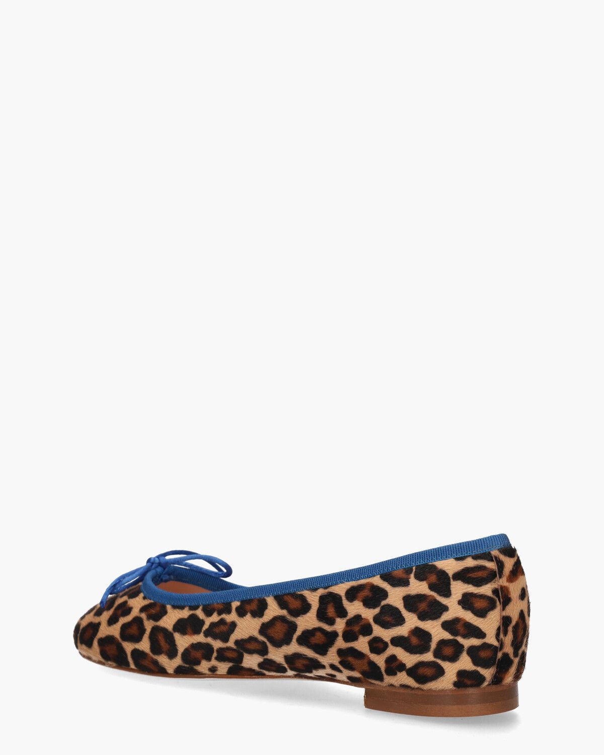 100 Bruin/Multicolor Damesballerina's