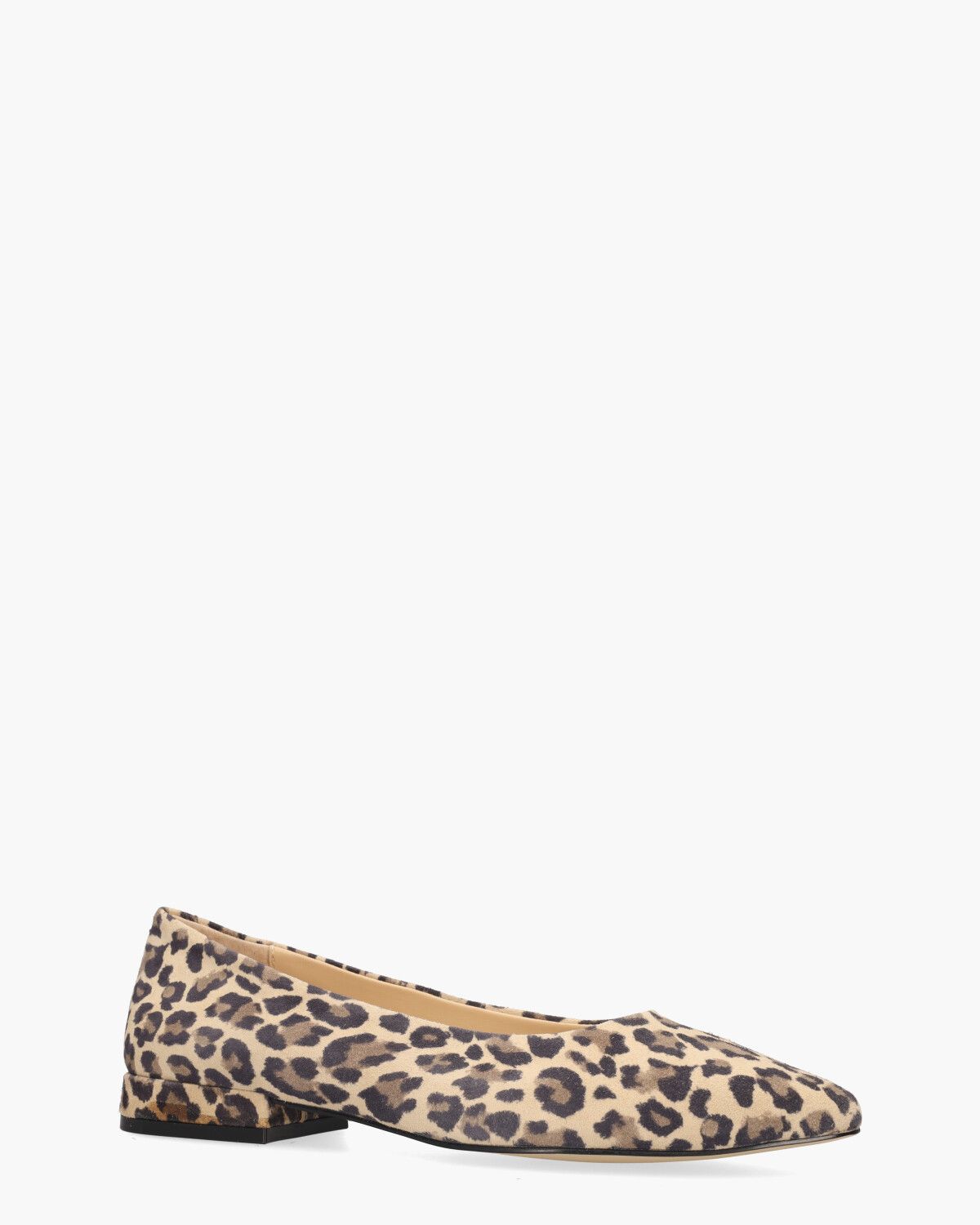 Widja Beige/Bruin/Zwart Damesballerina's