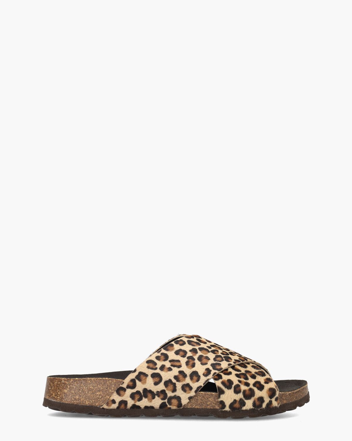 Teddy Bruin/Zwart Damesslipper 