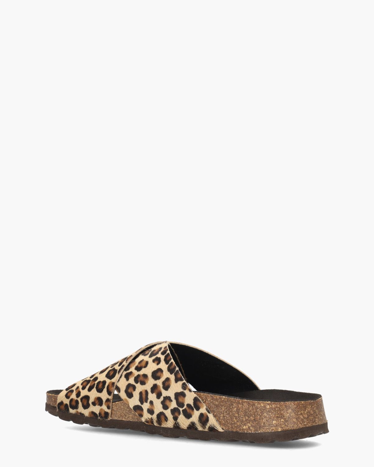 Teddy Bruin/Zwart Damesslipper 