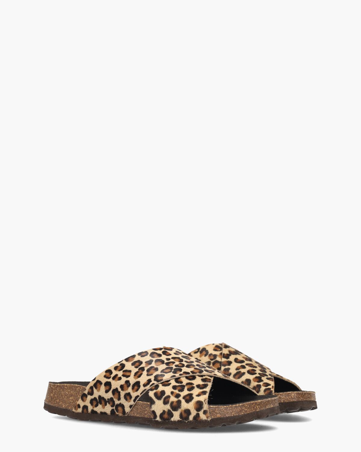Teddy Bruin/Zwart Damesslipper 