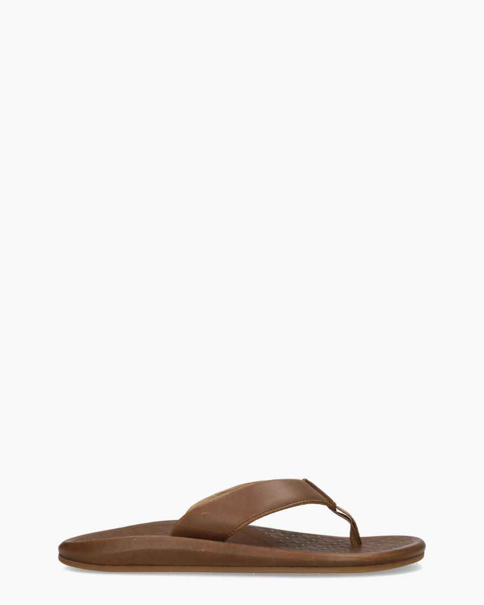 Ilikai Bruin Herenslippers