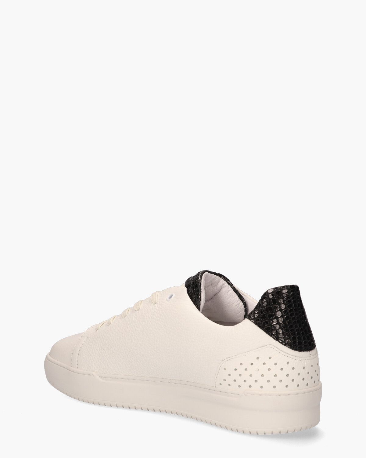 Teagan BS Snake Herensneakers