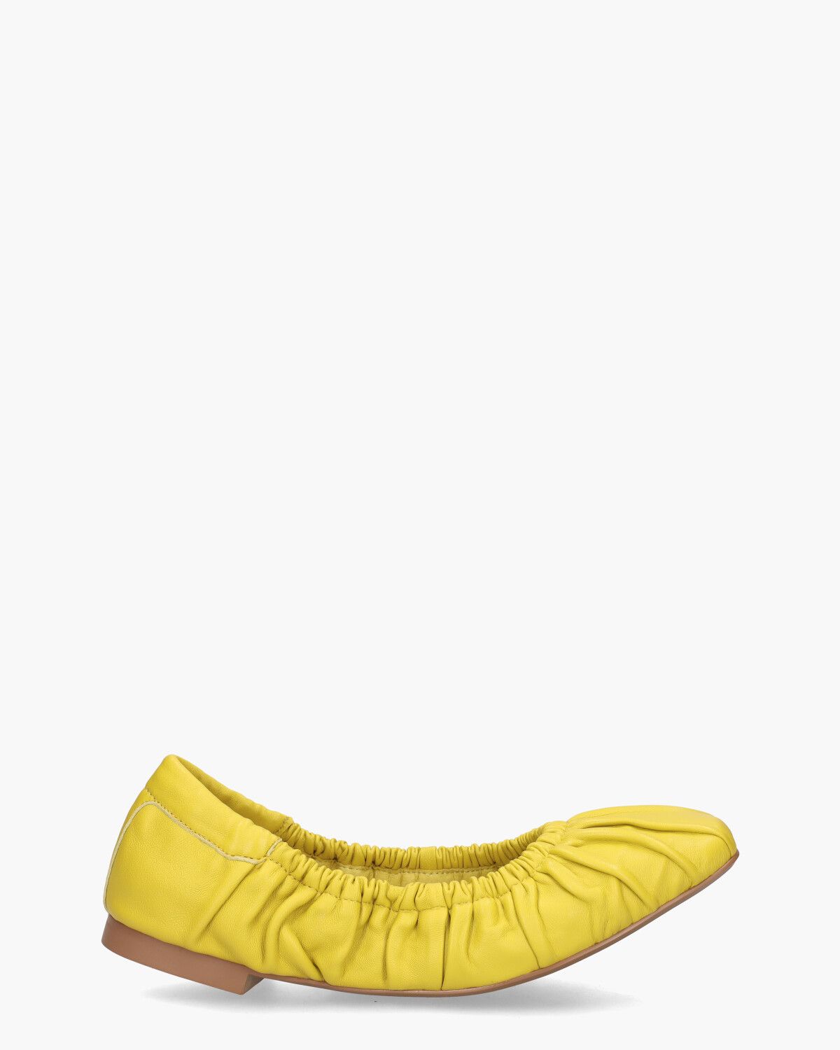 Moe Geel Damesballerina's