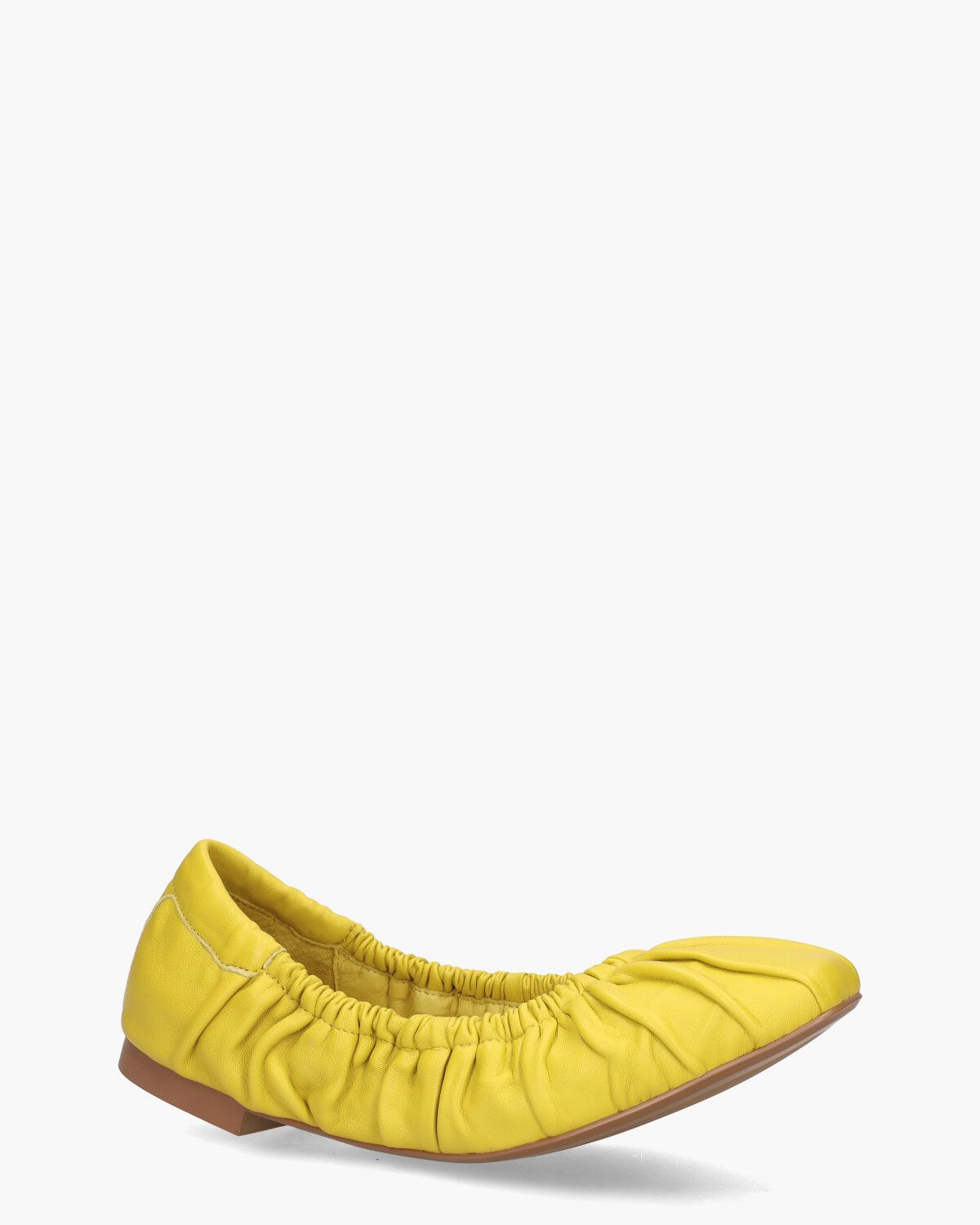 Moe Geel Damesballerina's