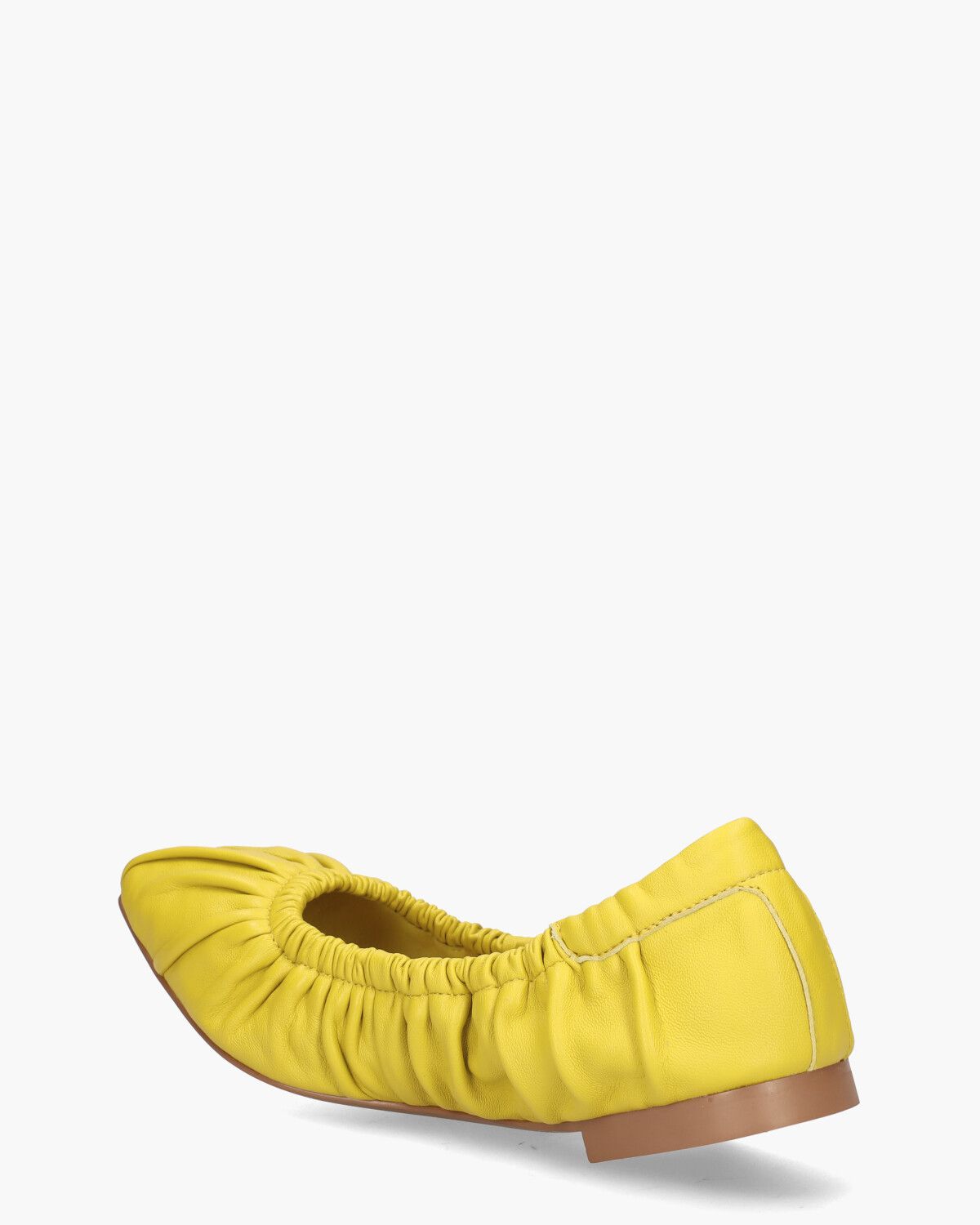 Moe Geel Damesballerina's