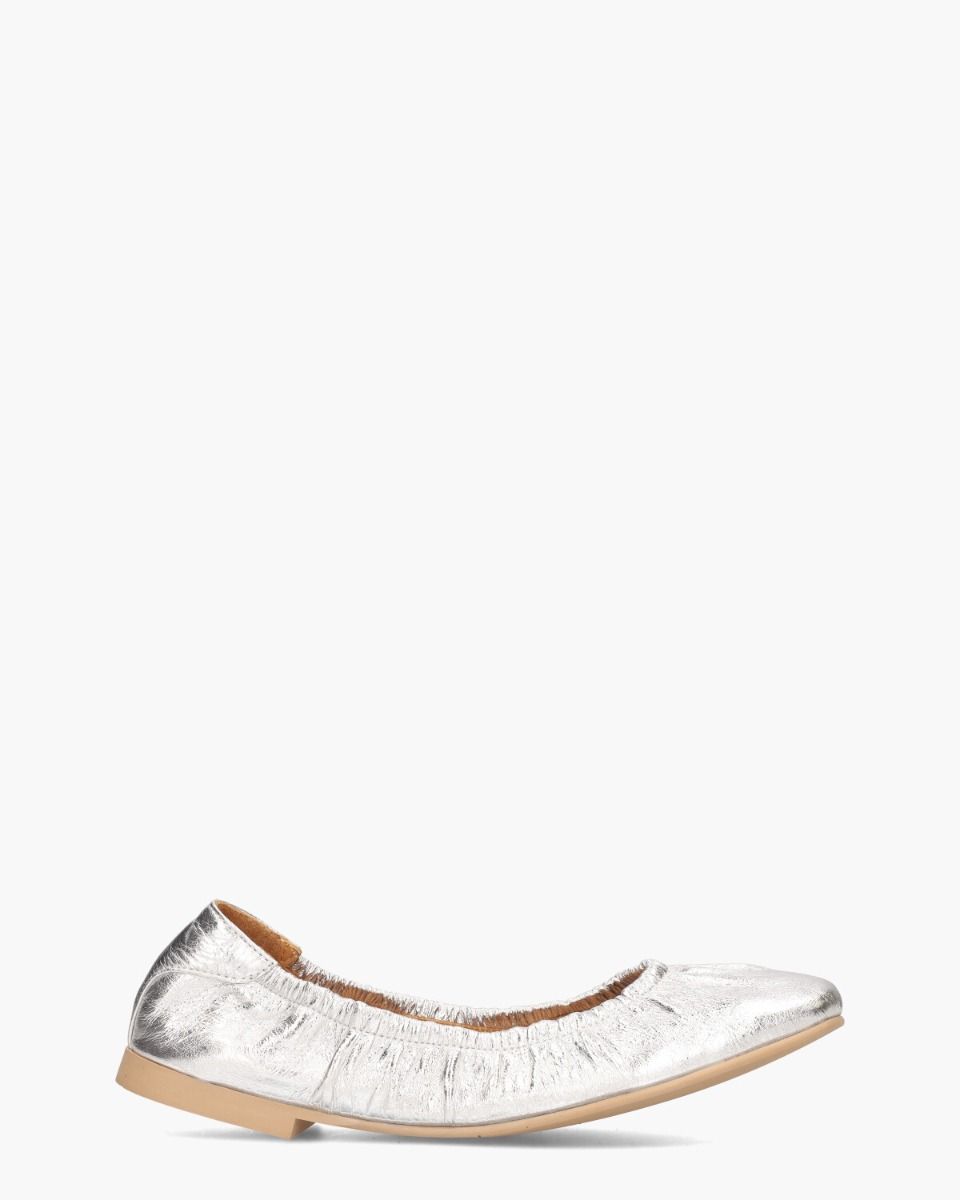 Tiara Zilver Damesballerina's