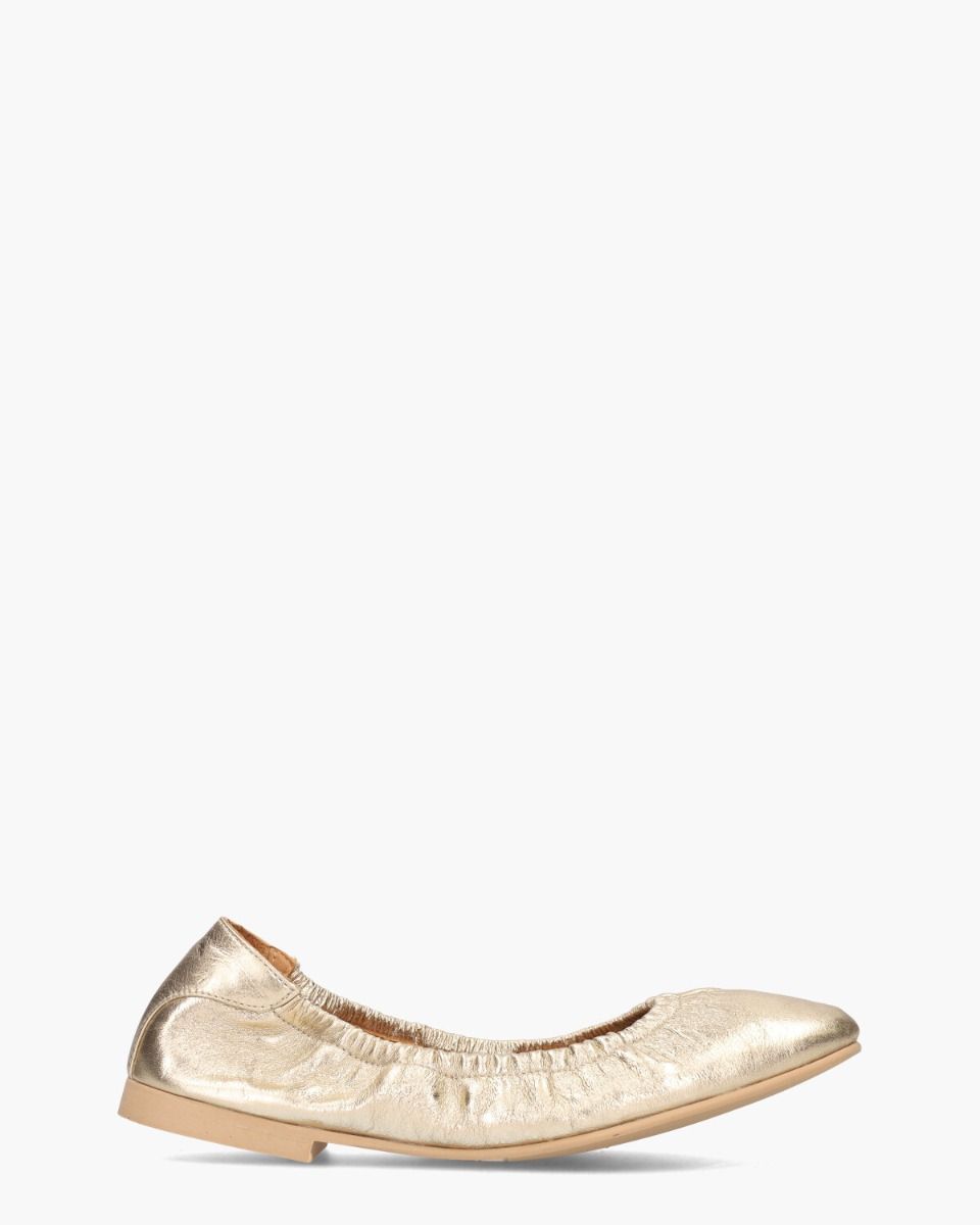 Tiara Goud Damesballerina's