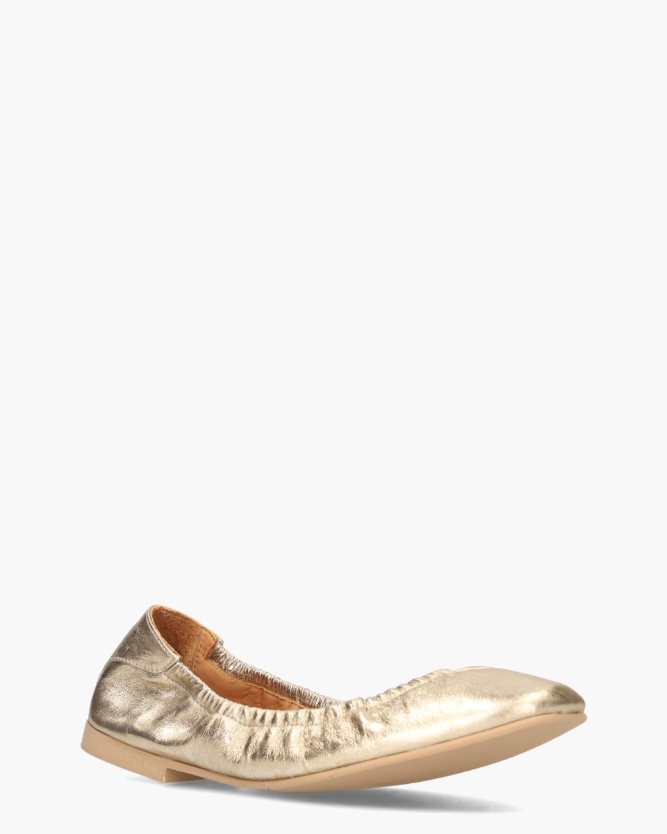 Tiara Goud Damesballerina's