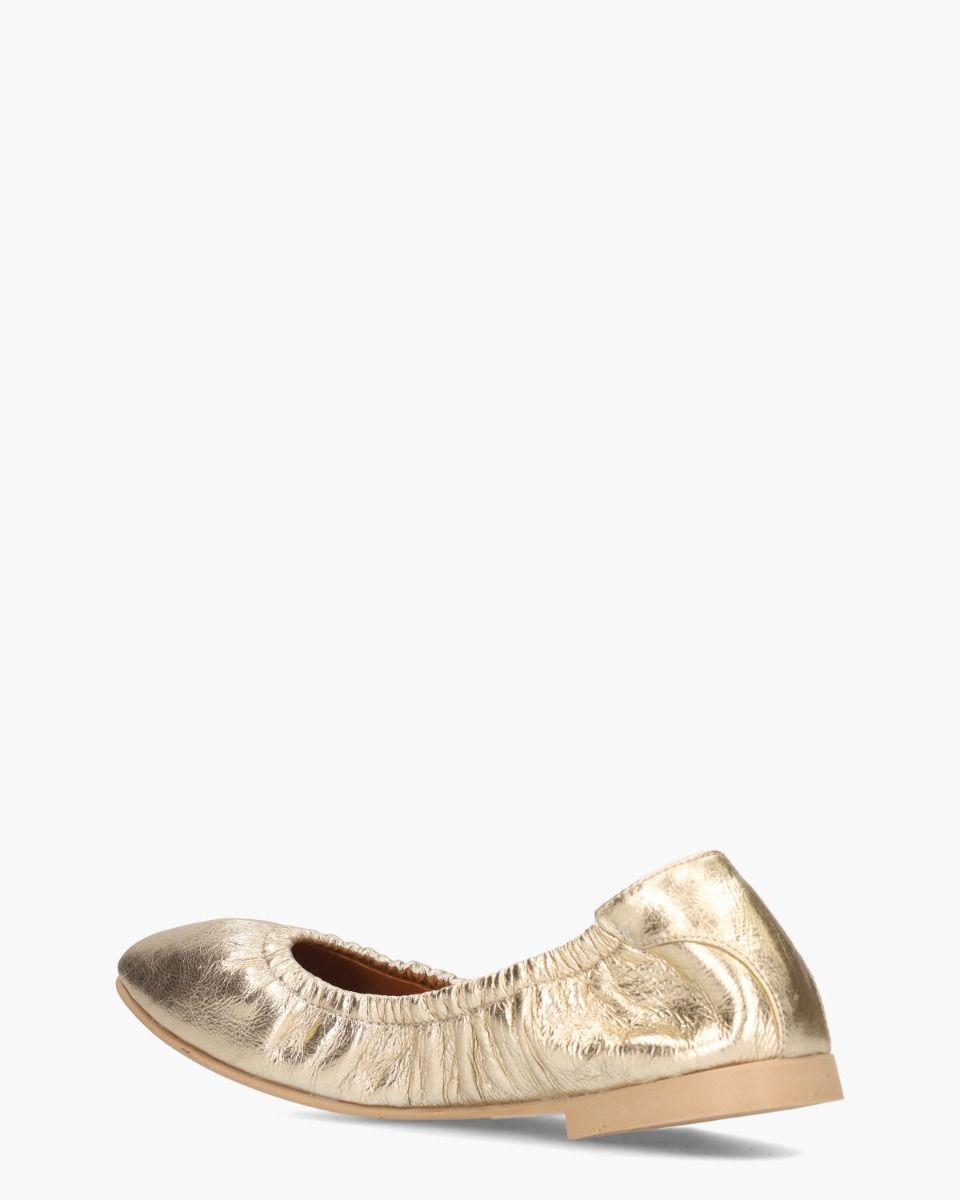 Tiara Goud Damesballerina's