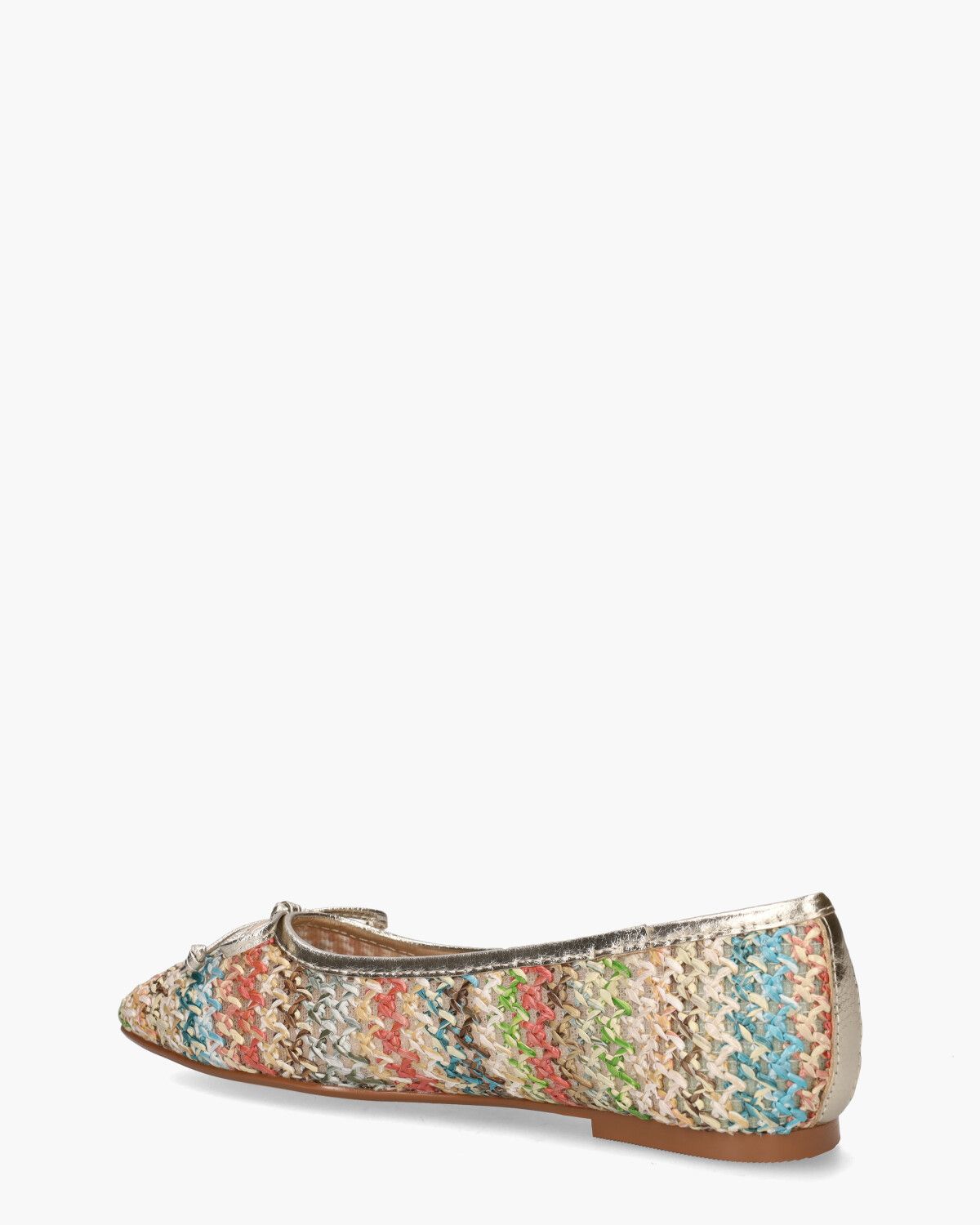 2410508 Multicolor Damesballerina's