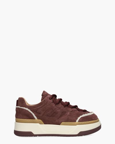 DWRS Label Walton Crochet Bordeauxrood Damessneakers - Van Arendonk.nl