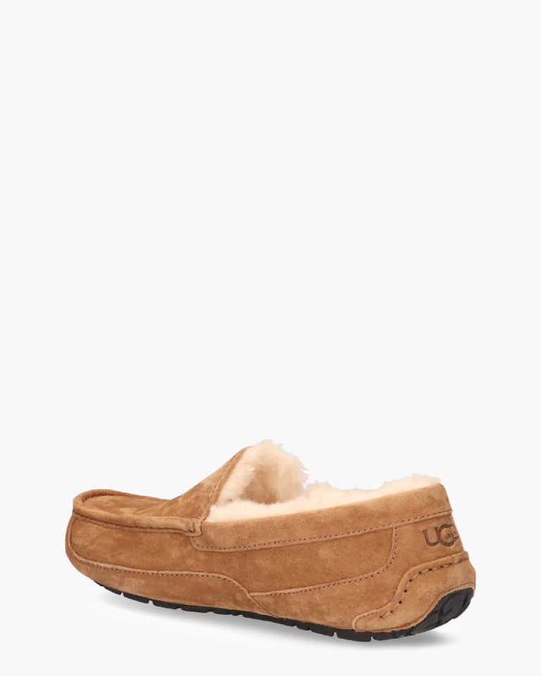 Ascot Slipper Chestnut Herenpantoffels