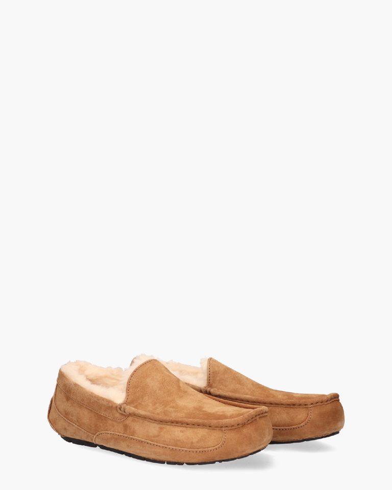 Ascot Slipper Chestnut Herenpantoffels