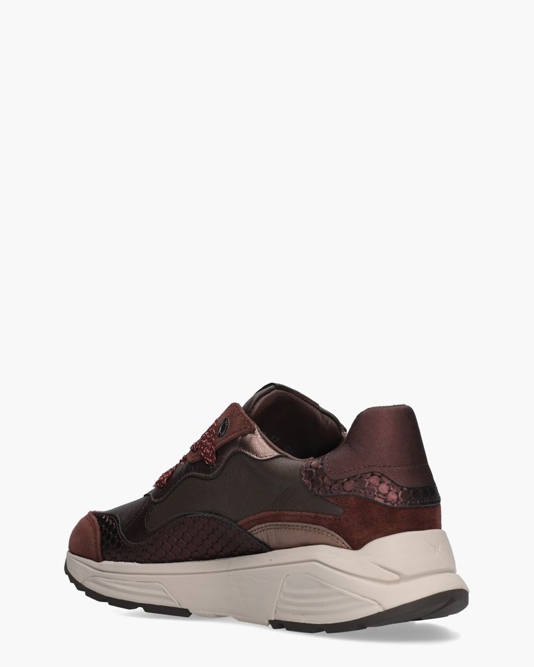 Rainbow Bordeaux Damessneakers