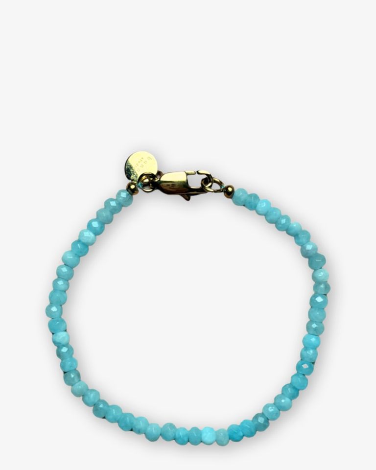Roger Bracelet Turquoise Armband