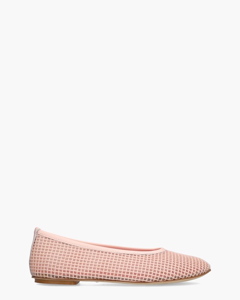 Nora Lichtroze Damesballerina's 