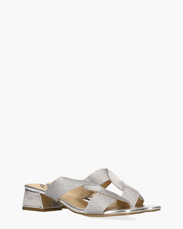 Warish Zilver Damesslippers