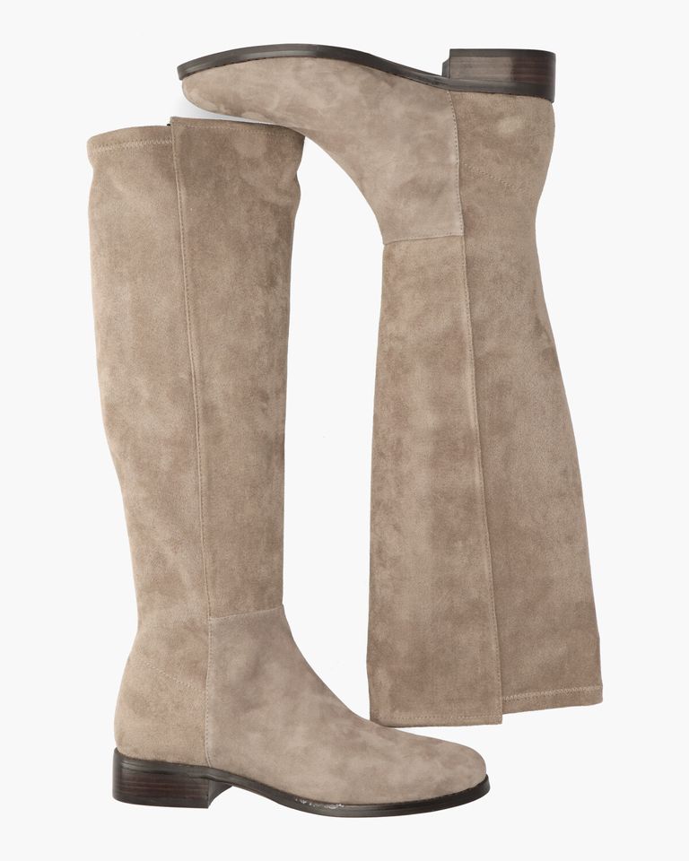 Janine Taupe Damesboots