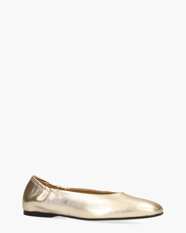 Weslynn Goud Damesballerina's