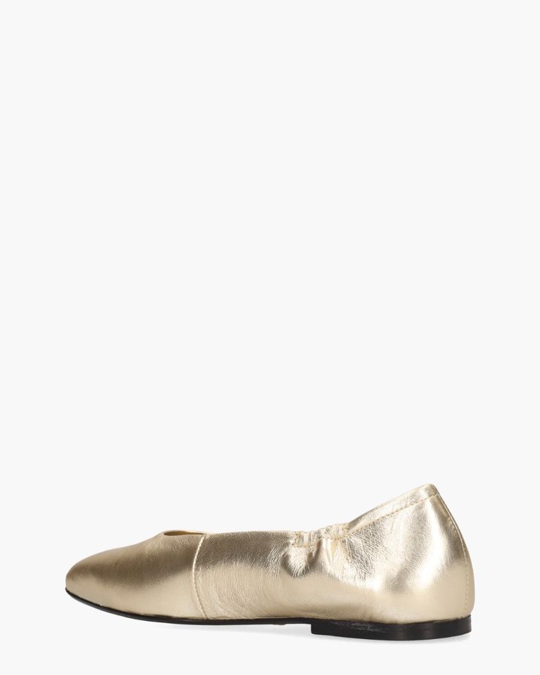 Weslynn Goud Damesballerina's