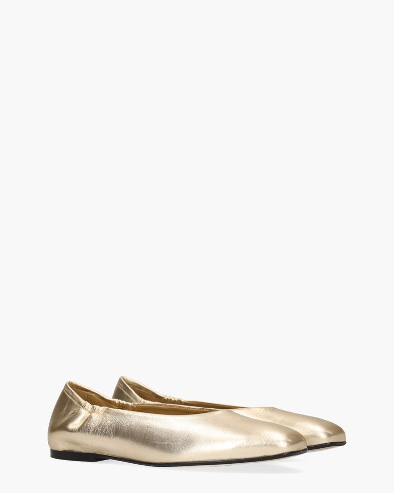 Weslynn Goud Damesballerina's